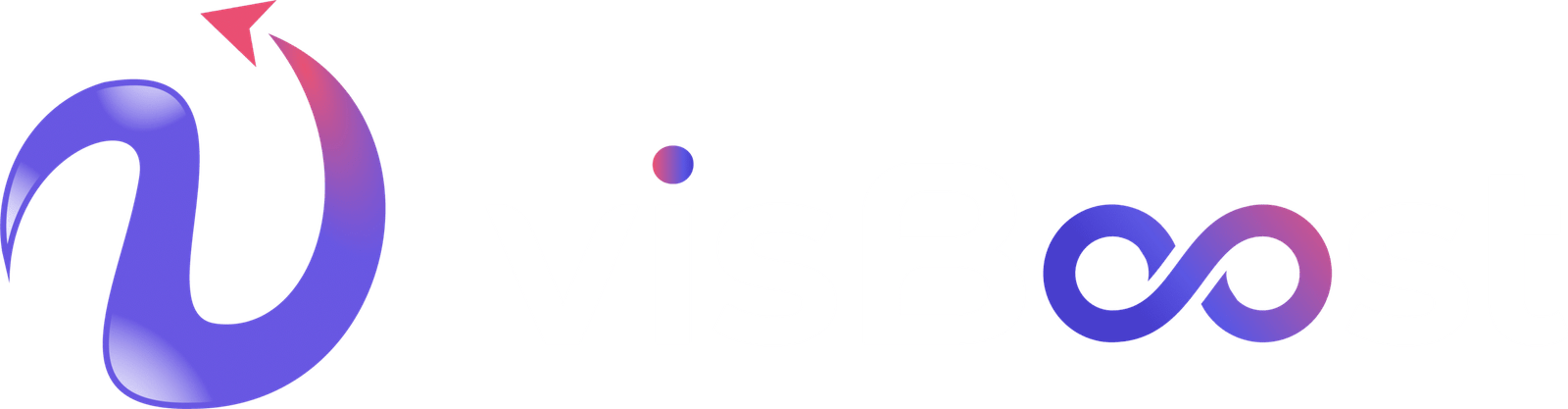 visBoost Dark Logo