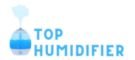 Top Humidifier